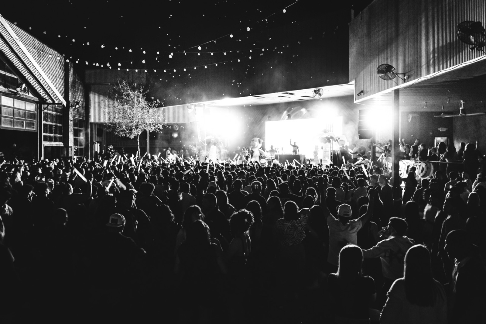 Concert crowd photographed during a live event