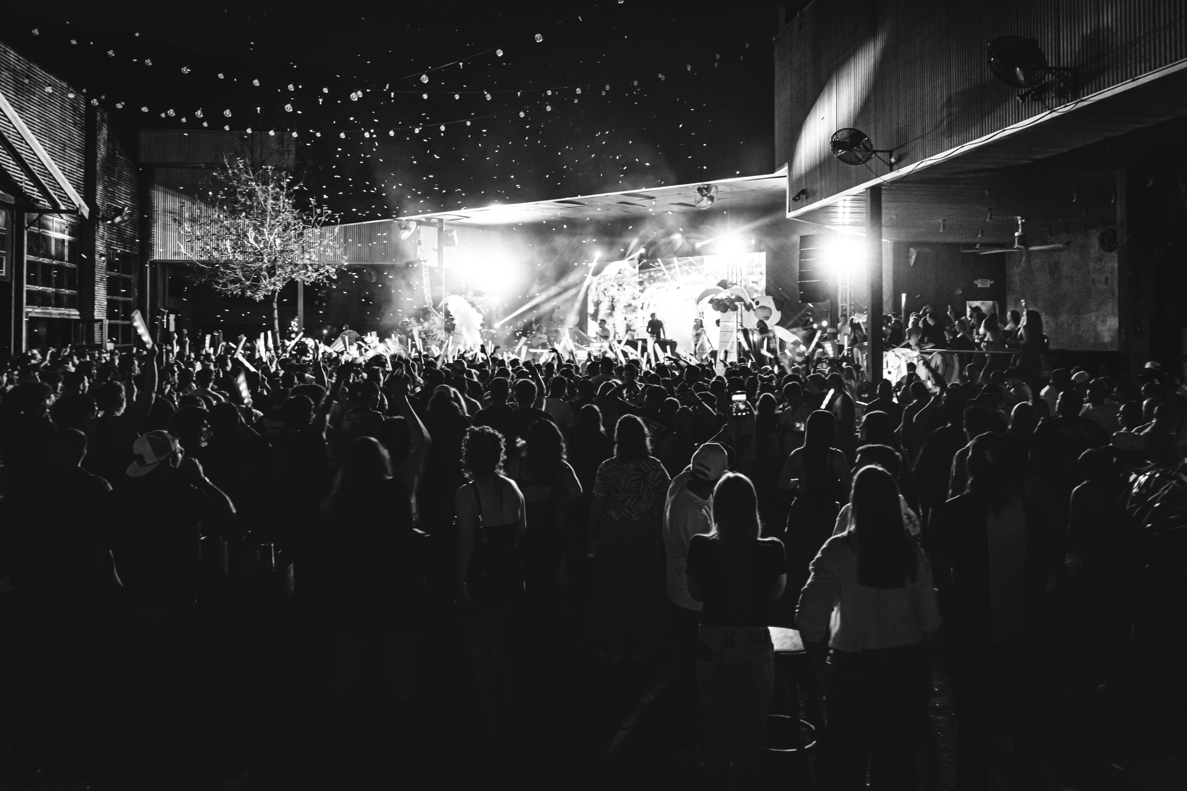 BTA live audience and creator distribution proof